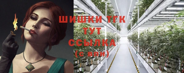мескалин Богородицк