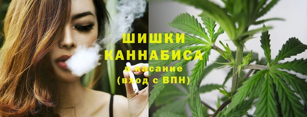 СК Богородск